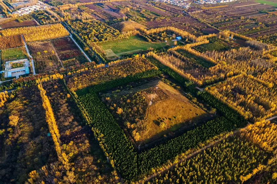 杜陵遺址公園