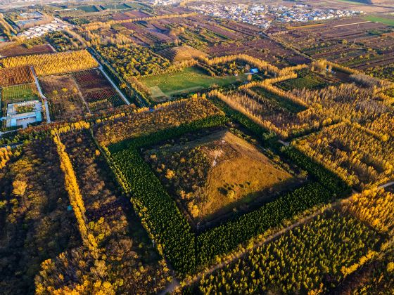 杜陵遺跡公園