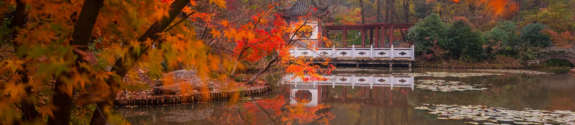 Fall Viewing Attractions