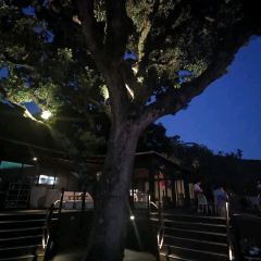 Chousan User Photo