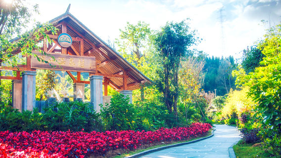 Tengchong Dongshan Hot Spring Village