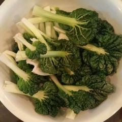 Happy Vegetarian Restaurant User Photo