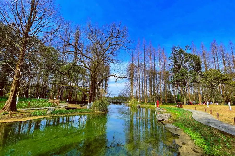 太子湾公園（プリンスベイパーク）