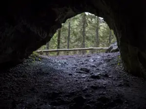 Maquoketa Caves State Park