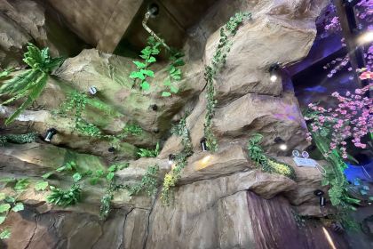 江湖渔道(饶平店)