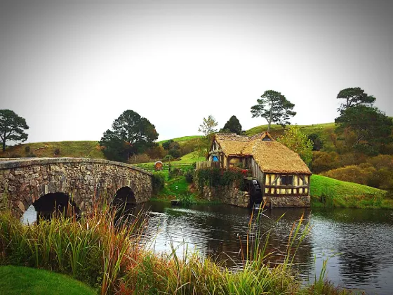 Silver Fern Lodge