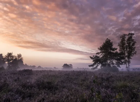 Vé máy bay Eindhoven Iloilo