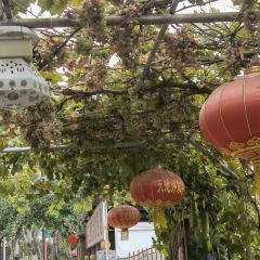 好家香饭庄 User Photo