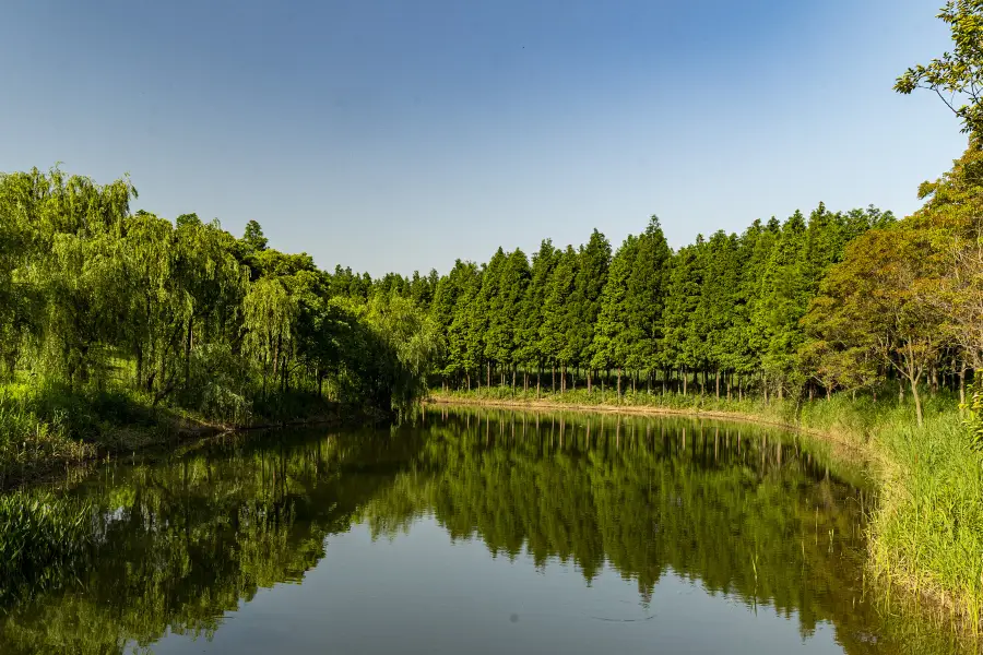 Luojing Water Conservation Forest