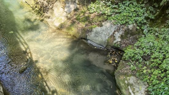 鬼谷峡洞真实景【景色】                  免