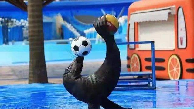 Hantang Water World Hot Spring Bathing Water Park