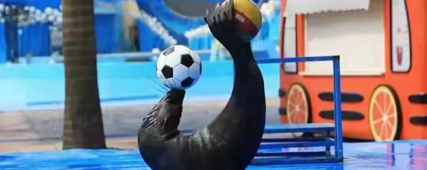 漢唐水世界温泉洗浴水樂園