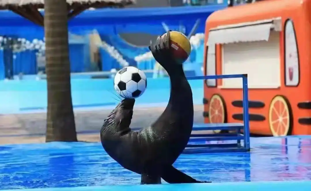 Hotels near Hantang Water World Hot Spring Bathing Water Park