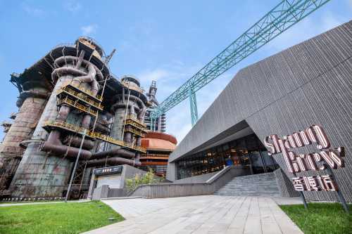 Shang Brew
