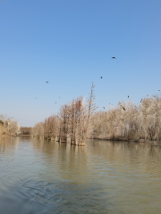 朱湖濕地公園