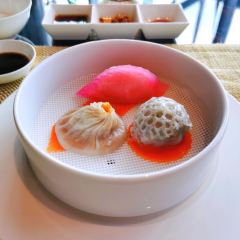 JIN YAN User Photo