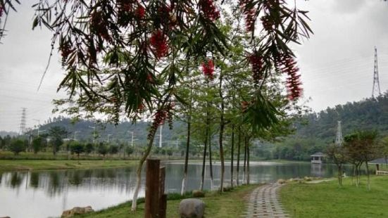 松岗公园是松岗街道最大的一个公园，公园地址位于松岗人民医院旁
