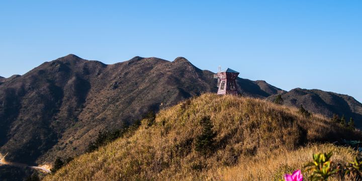 大芹山