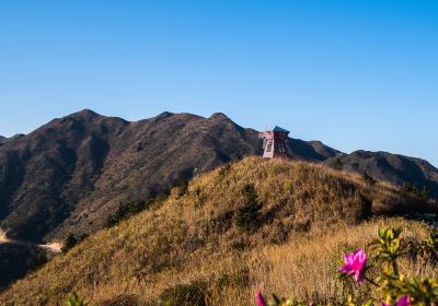 大芹山