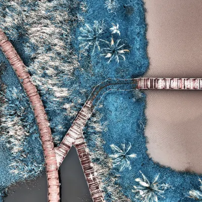 Разрешено размещения с домашними животными Отели в г. Порторож