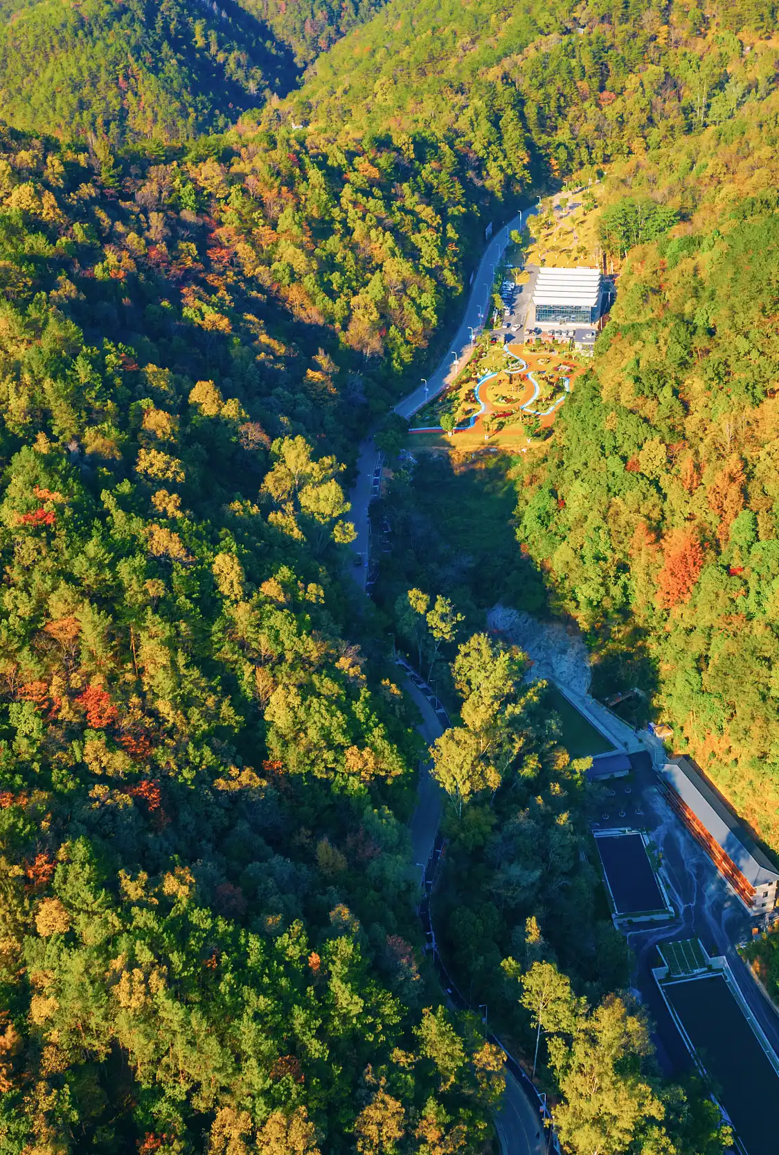 鄰近百歲山的酒店