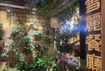 V·sherry User Photo