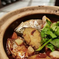 yi-cafe User Photo