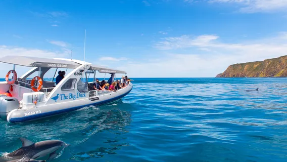 The Big Duck Boat Tours