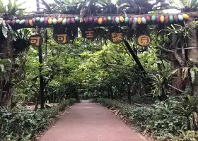 Xinglong Tropical Botanical Garden