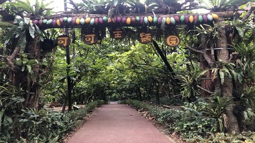 興隆熱帶植物園