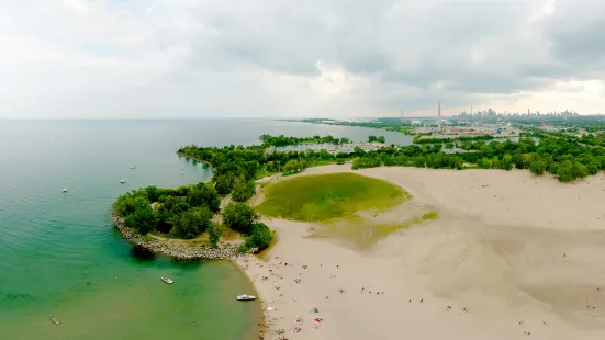 Woodbine Beach