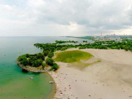 Woodbine Beach