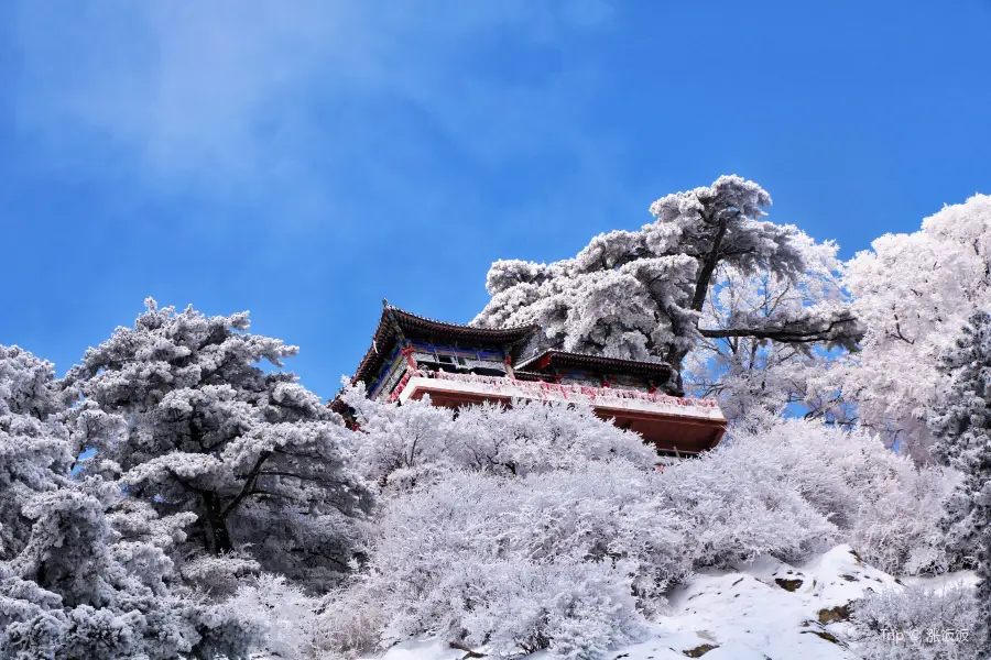 華山東峰