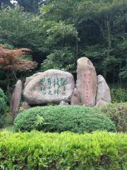 Tomb of Chen Yinke