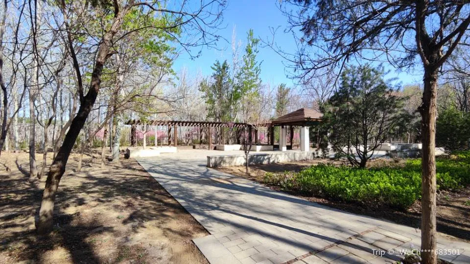 2_Banbidian Forest Park