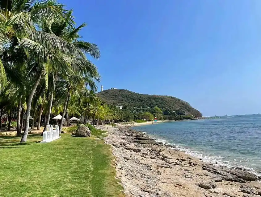 Hotels near Coral Reef Natural Reserve