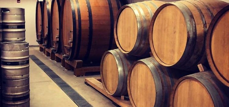 Campio Brewing Co