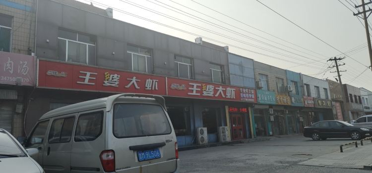 HUAI DIAN WANG PO DA HA