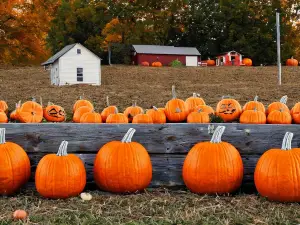 Perryville Pumpkin Farm