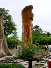 金釘子國家地質公園