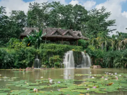 중국과학원 시솽반나 열대 식물원