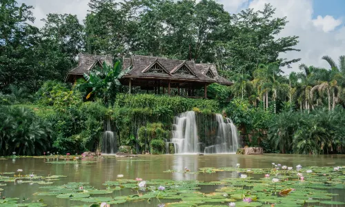 中科院西雙版納熱帶植物園