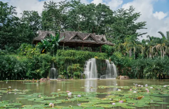 中科院西雙版納熱帶植物園門票 + 來回景區接駁巴士票成人