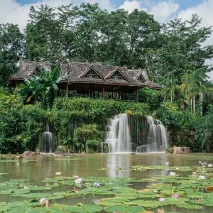中科院西雙版納熱帶植物園