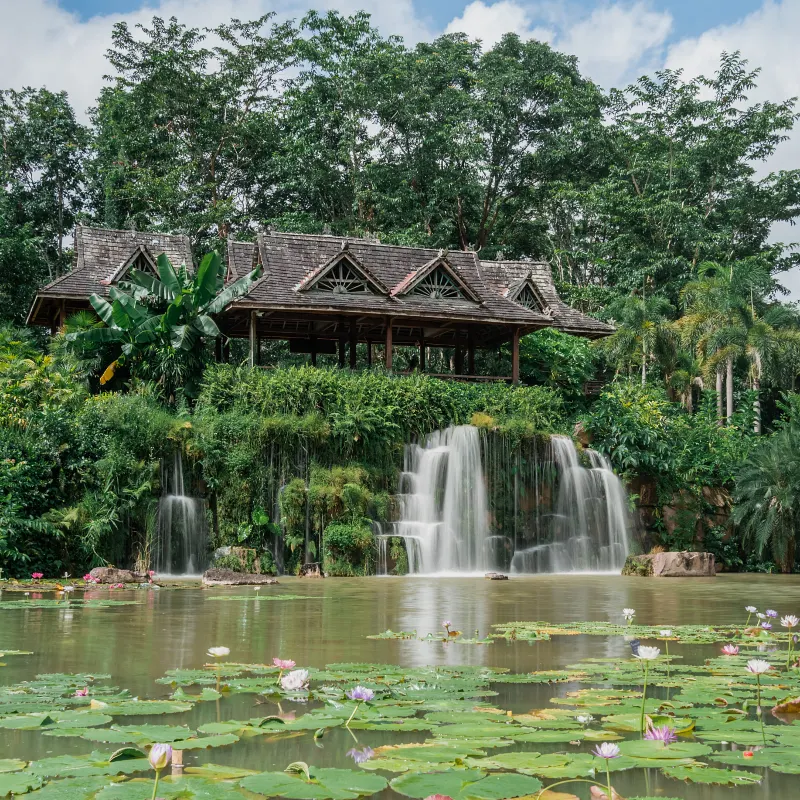 中科院西雙版納熱帶植物園