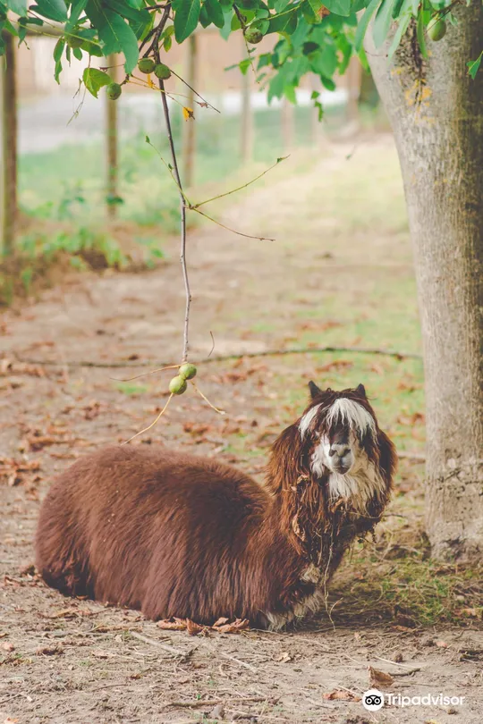 1_Вильдпарк Шварцах