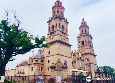 Morelia