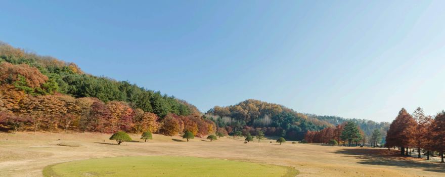 Cheongnamdae