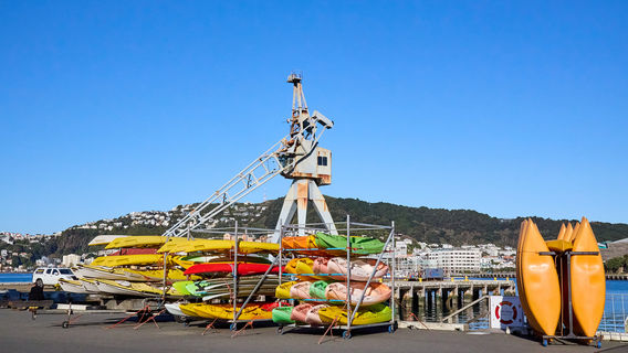 Kayaking in Wellington