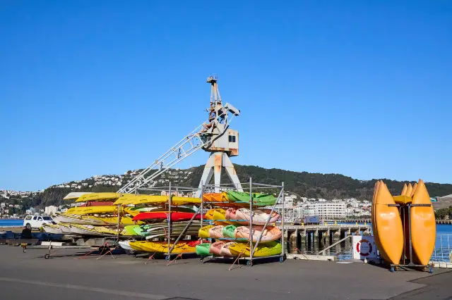 Kayaking in Wellington